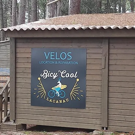 Au Milieu Des Pins, De 38 M2 - 4 Personnes - Domaine Du Golf Διαμέρισμα Lacanau