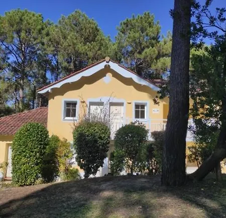 Apartment Au Milieu Des Pins, De 38 M2 - 4 Personnes - Domaine Du Golf *