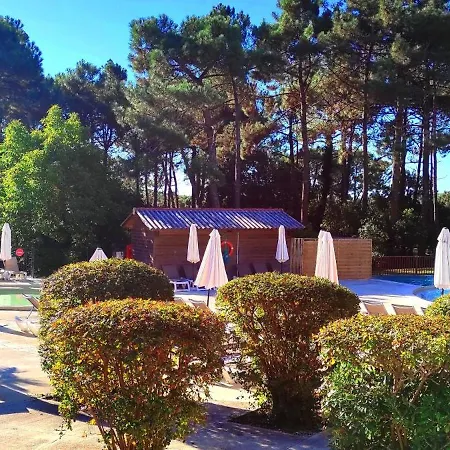 Apartment Au Milieu Des Pins, De 38 M2 - 4 Personnes - Domaine Du Golf *