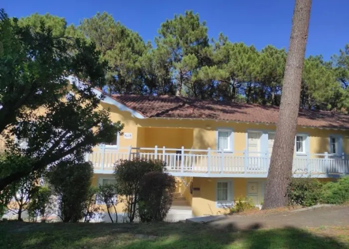 Lejlighed Au Milieu Des Pins, De 38 M2 - 4 Personnes - Domaine Du Golf Lacanau